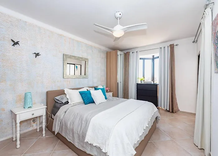 Apartment Boa Vista -